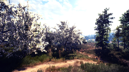 White Orchard