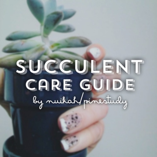 pinestudy: Succulent Guide Congratulations on becoming a proud plant parent! Welcome to to the wonde