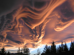 narnia:I want to go to there. This particular formation is an example of Undulatus asperatus—meaning “agitated waves”