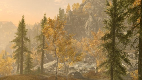 The woods near Ivarstead, in the Rift