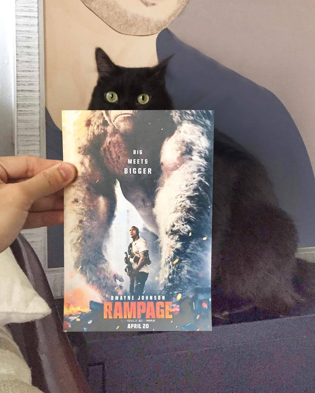Hilarious Instagram movie poster mash-ups