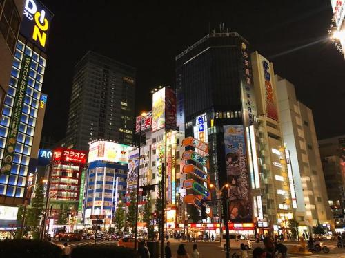 japanpix:My first night in Akihabara exceeded all expectations.