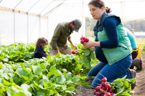 onyourfeetentertainment: So inspired by this series “Picturing Women Farmers” by &n