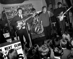 modbrother:  The Who at the Goldhawk Road Social Club, London, April 16, 1965