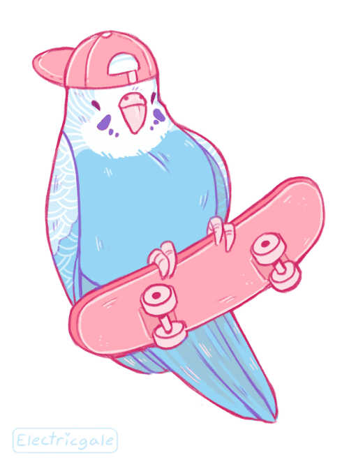 electricgale:I finally made some more cool skateboarding birds! Or coo birds if you will.Get them as