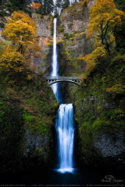 woodendreams:  Multnomah Falls, Oregon, US