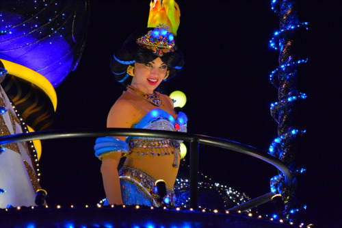 2015/05/31Tokyo Disney LandElectrical Parade