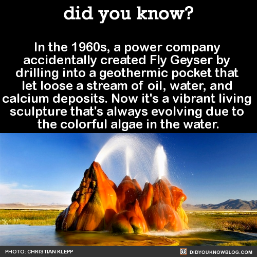 did-you-kno:In the 1960s, a power company accidentally created Fly Geyser by drilling into a geother