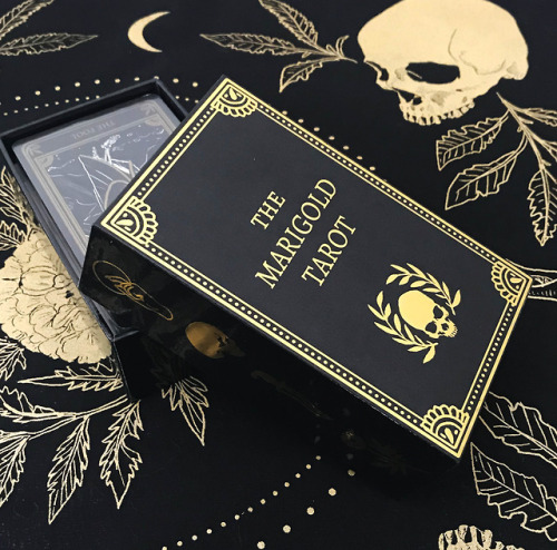 musterni-illustrates: The Marigold Tarot by Amrit BrarSome photos of sample decks, coming to my