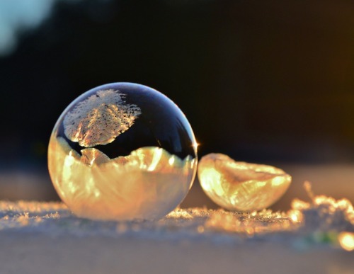 crookedindifference:  This Is What Happens When You Freeze Bubbles