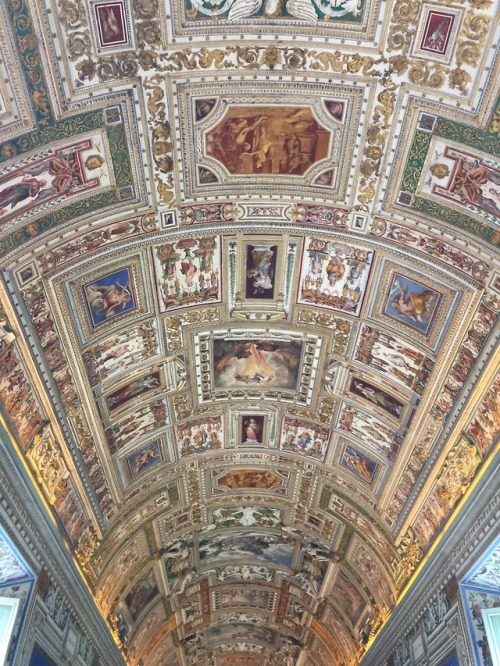 I live for the ceilings at the Vatican Museum Vatican City May 28, 2018
