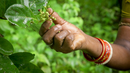 Armed with sticks and machetes, the women of Ghunduribadi — a small village in eastern In