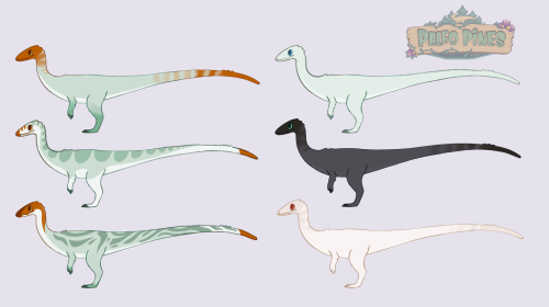 taluns: Coelophysis design for Paleo Pines Do you have room in your heart for a little noodle son,,?