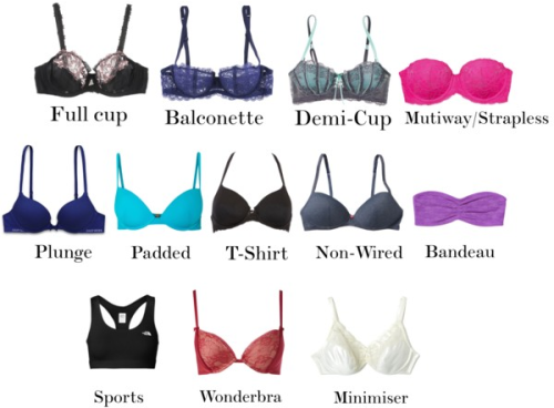 stephrc79:  decorkiki:  A Visual #Fashion Guide For Women - Necklines, Skirt Types