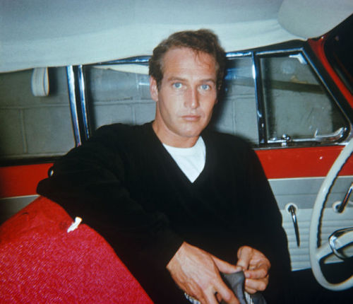 cinematic-portraits:Paul Newman photographed by Art Zelin, 1955.