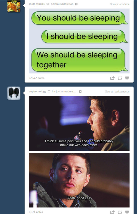 27giotto27:  My dash totally ships Destiel