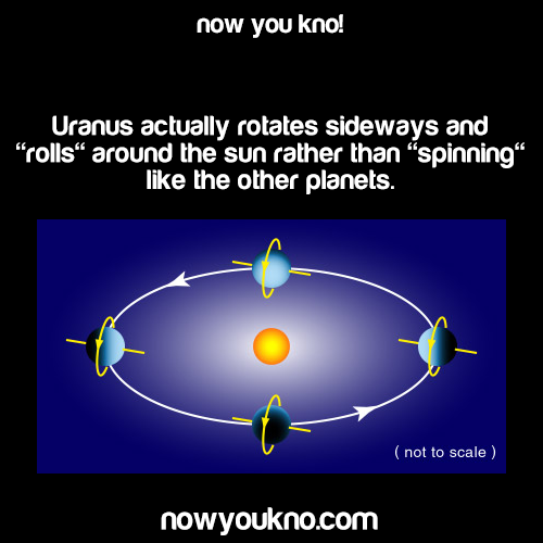 nowyoukno:  Now You Know more about Uranus. (Source 1 and 2)