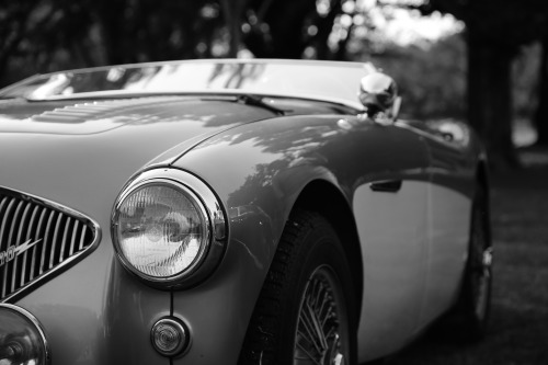 Austin Healey