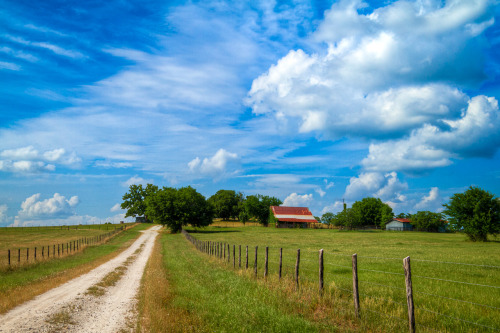 ianaberle:  Old Fisher Road. A dirt road leads up to a farm house on the Fisher Ranch in Troup, Texa