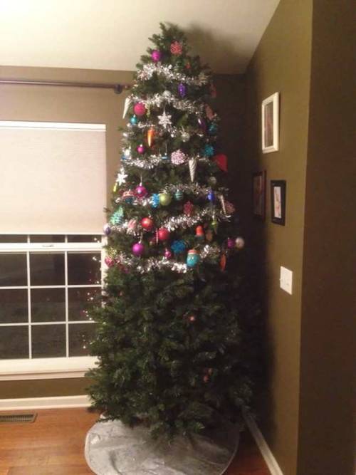 catsuggest:  pleatedjeans: 16 Pet-Proof Christmas Trees  is OPPRESSION of cat to not let celebrate chrismas by attack and kill chrismas tree !!! 😾 