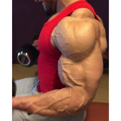 gymaddict247: Arm pump day