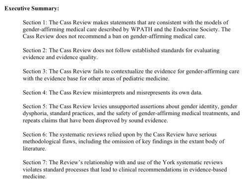 Yet Another Report Found That The Cass Review Was Dangerously Flawed. The Integrity Project At Yale Concluded