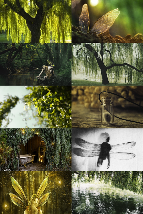 moodyhues: Flower Fairies ; Willow Aesthetic  “How I love to sit beneath youand let your gentle, sle
