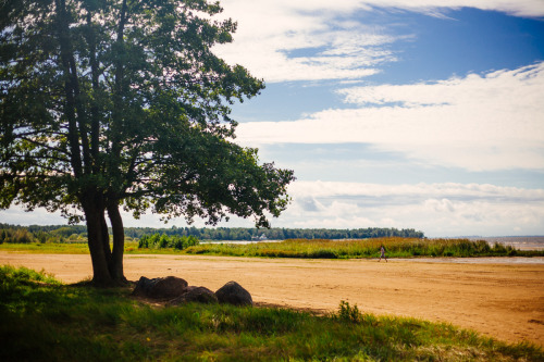 Autumn sun in Sestroretsk