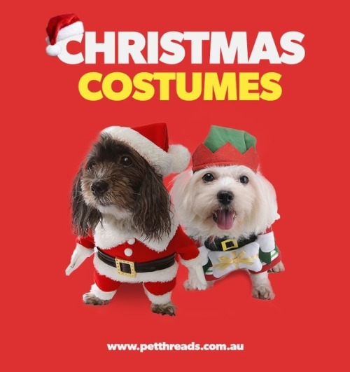 New doggo Christmas costumes, outfits & toys now in-stock!✅ Free shipping on over 50 items! ✅ 