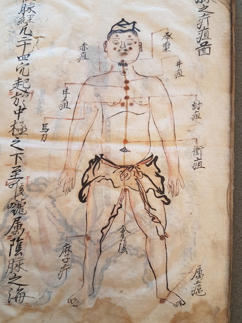 LJS 433 - [Yoso zusetsu]This is a wonderfully illustrated treatise on the diagnosis of abscesses and