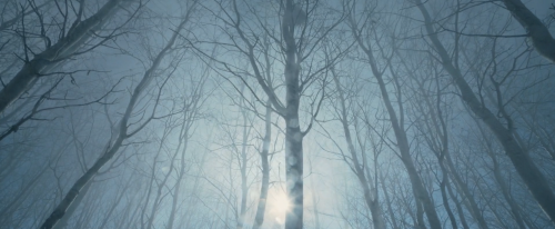 brand-upon-the-brain:  The Revenant (Alejandro González Iñárritu, 2015)