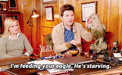notabadday:  NOW LEAVING PAWNEE: Goodbye, Parks and Recreation[1/9] NINE CHARACTERS →