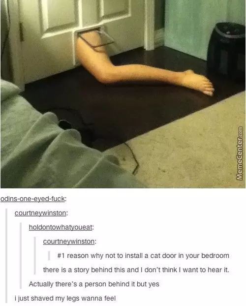 Leg
