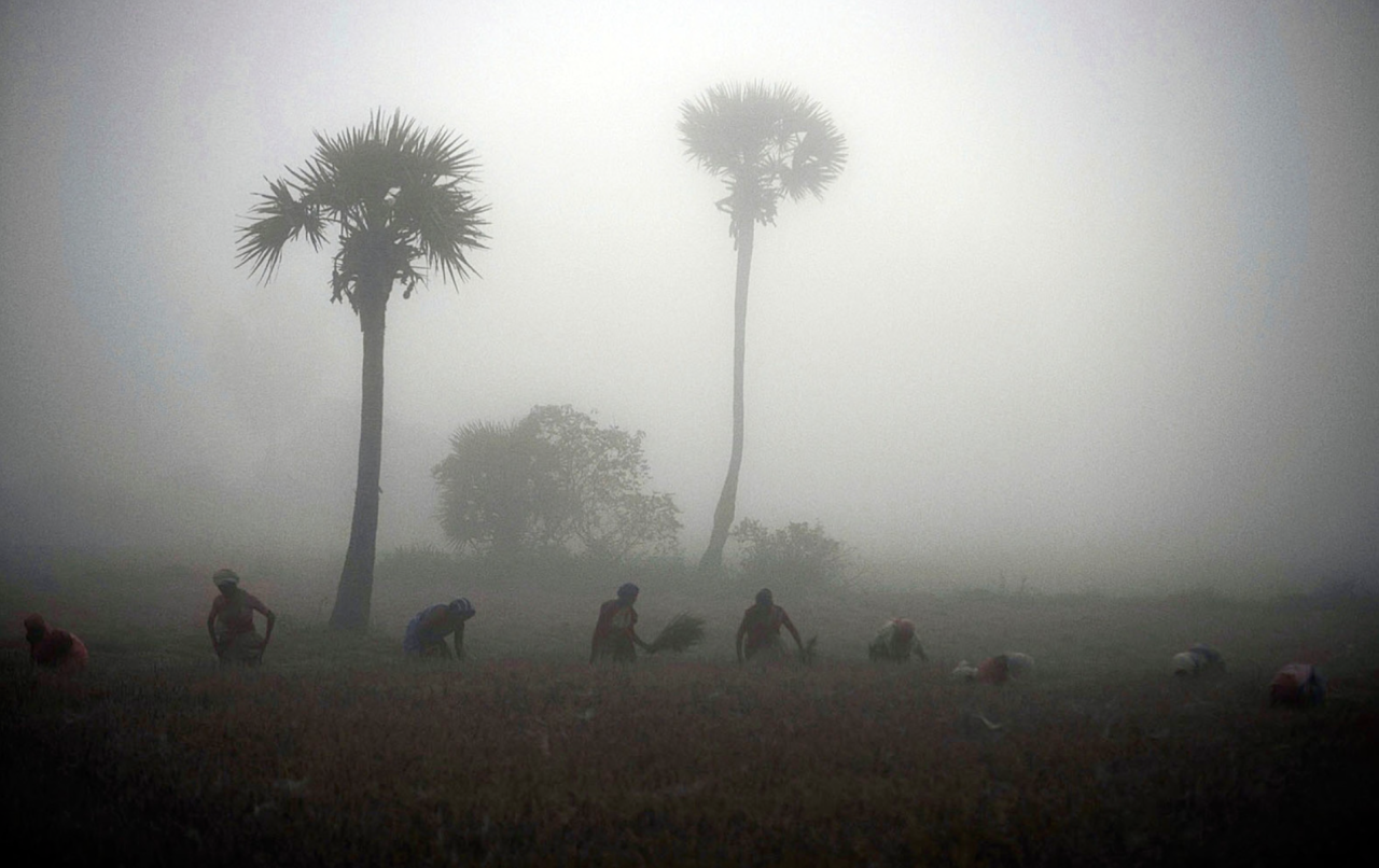 nubbsgalore:  photos for the laia foundation by pep avila in vedanthanga, a village