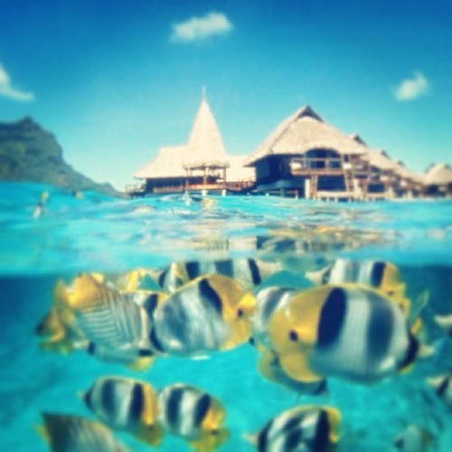 #Borneo #Snorkelling #beach #TOMORROW!! 1 day to go….