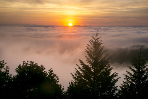 expressions-of-nature:Humboldt Coast by Bob Wick via Bureau of Land Management