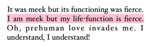 neoyorzapoteca:Clarice Lispector, The Passion According to G.H.