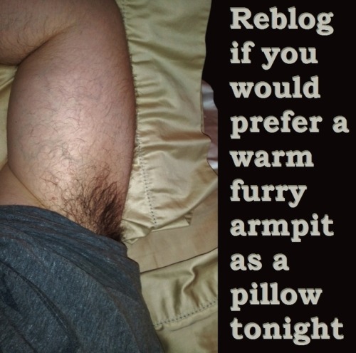 piggy920: nydavedogg: spaceboyjd:No pillow tonight. Just a firm bicep and a furry armpit to rest you