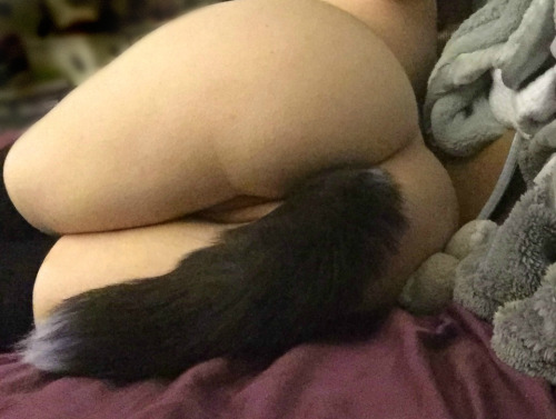 mytightjuicysecret:  Mixing it up a little today. “Tail Tuesday”??I don’t know. It’s a full moon. Howl with me.