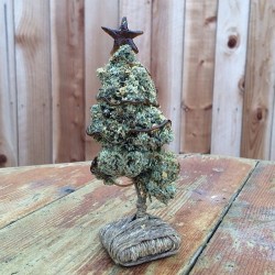 weedporndaily:  @natureslabextracts  The best Christmas tree ever!! 😍