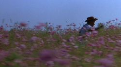 hirxeth:The Color Purple (1985) dir. Steven