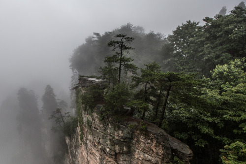 Zhangjiajie (张家界) by Jens Schott Knudsen