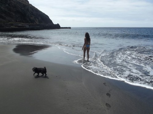 Problaby the happiest moment of my summer: When Foxy Dog swim for the first time betwen me in a precious beach after a long walk through the mountain to get there 🐶💞