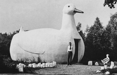 aqqindex:The Big Duck, Flanders, New York