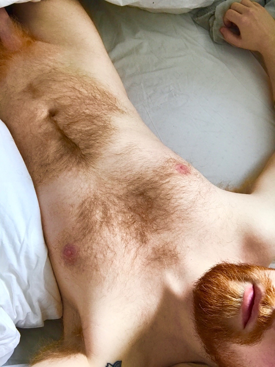 ginger-scruff-pup: There’s room for at least one more @hot-gingers-only 😜