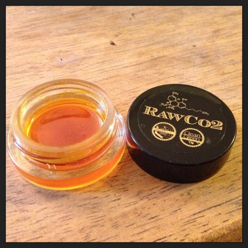 terpsincluded:  Sunday Diesel #rawco2 #raw #oil #clean #terpenes #terpenesincluded #delicious #diesel #floral #dabs #cleangreen