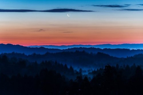 Frosty dawn over Kyoto prefecture tea gardens, magical light for these pictures by @v0_0v______mk