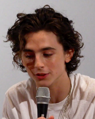 sweetimothee:just some screenshots of this beautiful human from a panel at busan today (x)