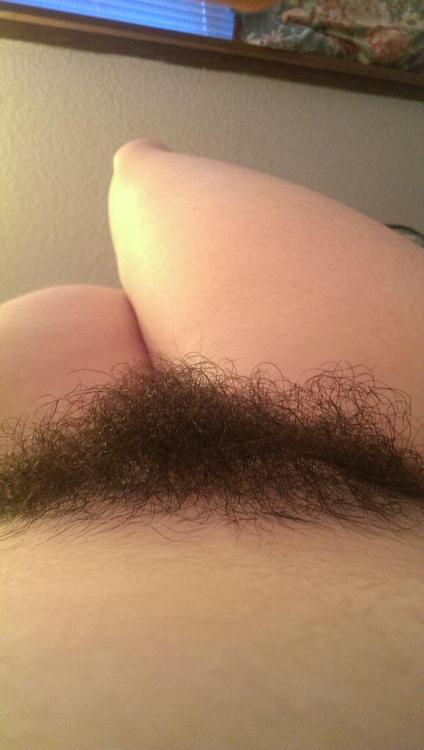 http://bellyhairandracingstripes.tumblr.com/post/142906530571
