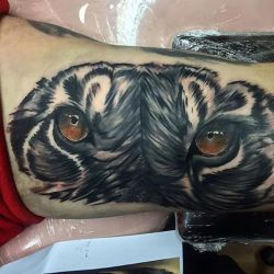 Un tartoo viejo. #tattoo #tatuaje #tattooed #tattoos #tatuajes #color #colors #colores #tatu #tattoedmen #tiger #tigre #ojos #eyes #eye #ink #inked #inkup #inklife #Venezuela #lara #barquisimeto